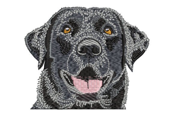 Black Labrador Retriever: Stitch Quality & Real Use